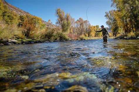 Fall Fly Fishing on The Roaring Fork River | Aspen Outfitting Company