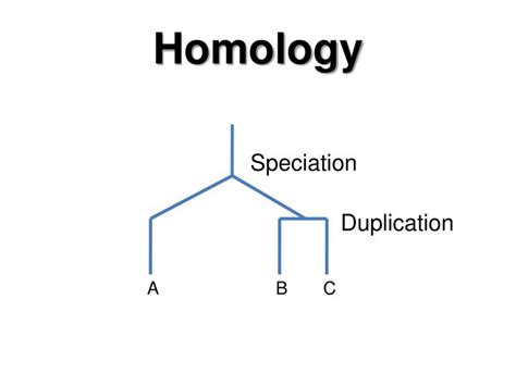 PPT - Homology assessment and molecular sequence alignment. PowerPoint ...