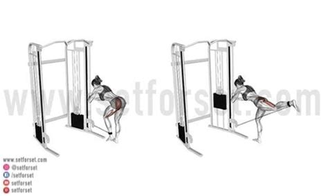 14 Best Cable Machine Leg & Glute Exercises - SET FOR SET