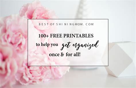 Over 100 Free Printables To Organize Your Life In 2017