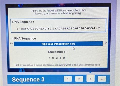 Solved Transcribe The Following Dna Sequence From Hbs Chegg