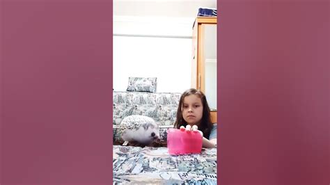 #блоптоп @БЛОПТОП - YouTube