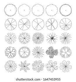 Tree Top Tree Plan Free Hand Stock Vector Royalty Free