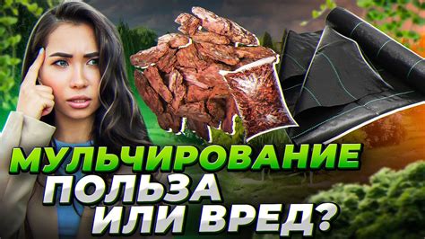 МОЩНЫЙ способ ИЗБАВИТЬСЯ ОТ СОРНЯКОВ (который не используют 90% ...