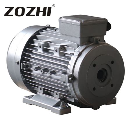 Ip55 Protection Class Three Phase Hollow Shaft Electric Motor With Ie2