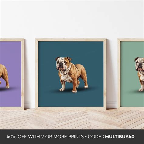 colour english bull dog poster english bull dog print dog print dog art  size