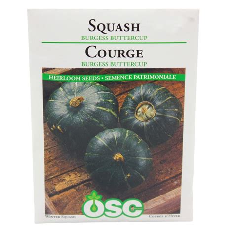 Squash Burgess Buttercup Lake Of Bays Garden Centre