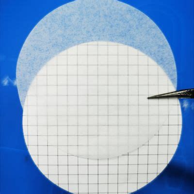 0 45 µm 37 mm Mixed Cellulose Ester MCE Gridded membrane filter single