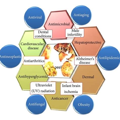 Structures Of Polyphenolic Compounds Found In Pomegranate Peel Punica