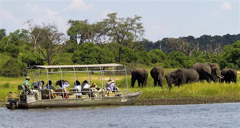 Chobe National Park Botswana Live Your Passion