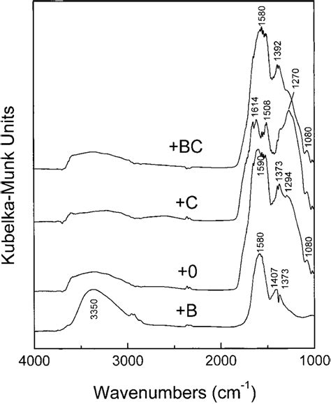 Diffuse Reflectance Infrared Fourier Transform Drift Differ