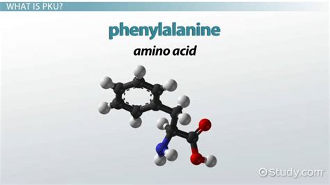 What is Phenylketonuria (PKU)? - Definition, Symptoms & Treatment ...