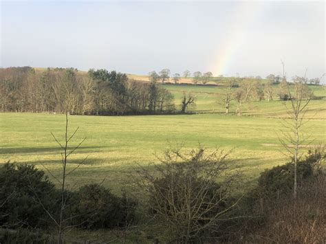 Pasture Hedgeley Richard Webb Geograph Britain And Ireland