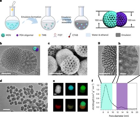 Emulsion Oriented Assembly Of The Janus Mesoporous Nanoparticles