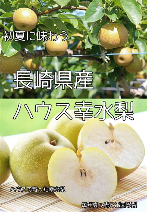 【楽天市場】今が旬 幸水梨 長崎県産 ハウス 幸水梨 送料無料 訳あり 5kg 家庭用 なし 梨 幸水：大和屋 旬果庵