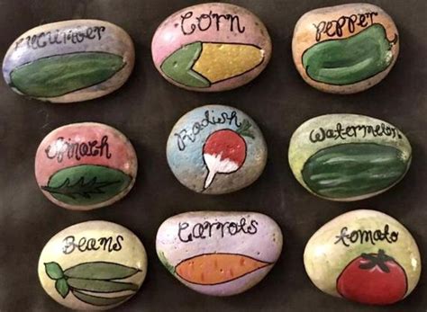 Pin By Cindy Prokop On Painted Rocks In 2020 Garden Stones Colorful