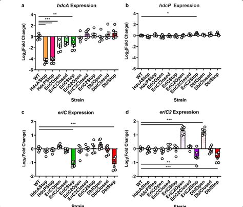 Expression Of Histidine Decarboxylase Hdca Histidine Histamine