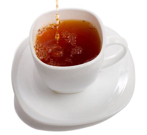 Filling Cup Of Rooibos Tea Stock Photo Image Of Drop 6190912