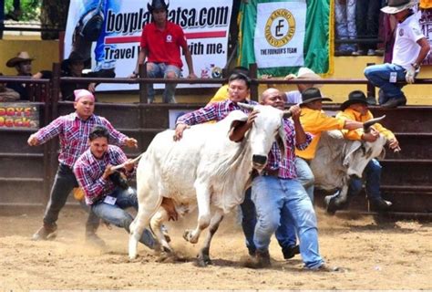 4 Keunikan Festival Rodeo Masbateño di Filipina Para Koboi Adu