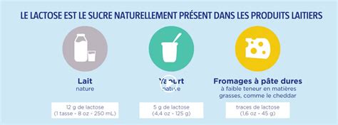 L intolérance au lactose le yaourt améliore la digestion Yogurt in