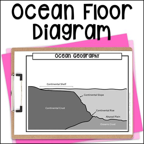 Exploring The Ocean Floor Worksheet Answers Floor Roma