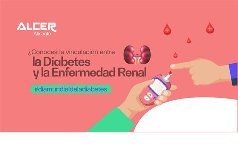 Conoces la vinculación entre la Diabetes y la Enfermedad Renal