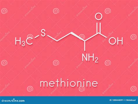 Methionine L Methionine Met M Amino Acid Molecule Skeletal Formula