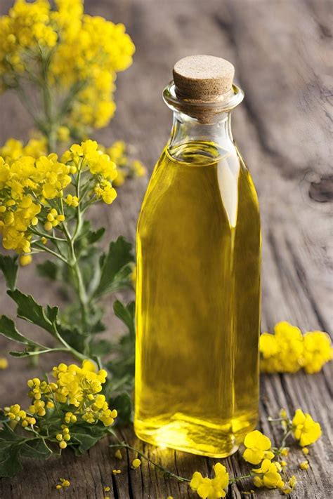 Canola Oil Substitute 6 Recommended Swaps