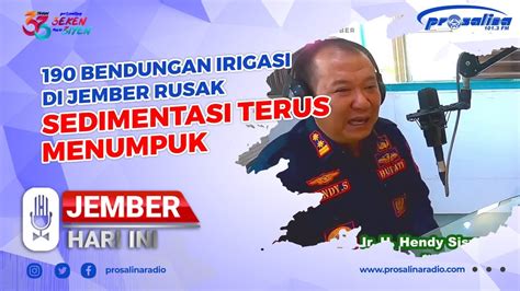 Bendungan Irigasi Di Jember Rusak Sedimentasi Terus Menumpuk Youtube