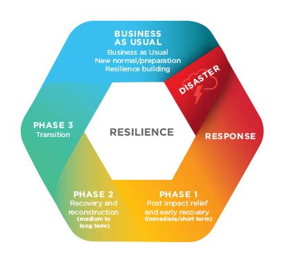 Prevention Preparedness Response And Recovery Disaster Management