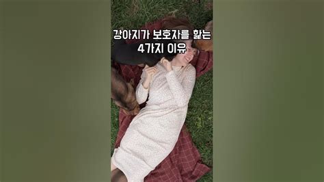 훈련사가 알려드리는 강아지가 보호자를 핥는 이유 Youtube