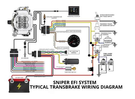 Holley Dominator Wiring Diagram Diagram Circuit