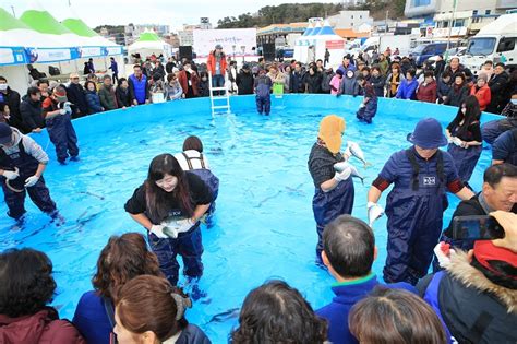 울진군 2023 죽변항 수산물축제 개최