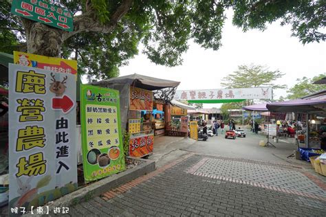 雲林 古坑綠色隧道 假日市集超好買 各種美食 小吃 新鮮蔬果 還有大草坪 沙坑可以放電小孩 猴子【東】遊記