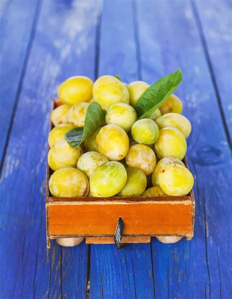 Ciruelos Amarillos Frescos Frutas Maduras En Una Caja En Fondo Azul De