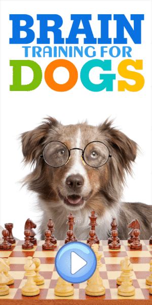 Brain Training For Dogs Free