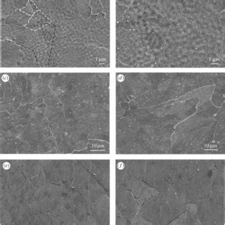 SEM Images Of The Microstructure Of The Tempered 410 1Mo Martensitic