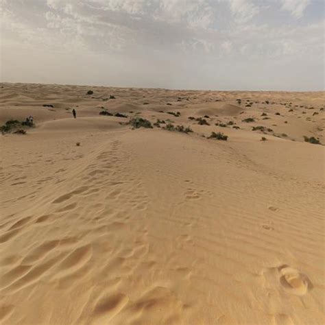 Dubai Desert Conservation Reserve in Dubai, United Arab Emirates ...