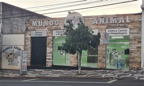 Clinica Veterinaria Mundo Animal - Sobre Nós - Mundo Animal | Clínica Veterinária em Umuarama
