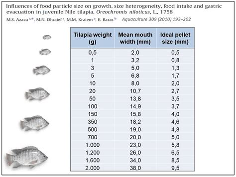 Advances In Tilapia Nutrition Part 2 Responsible Seafood Advocate