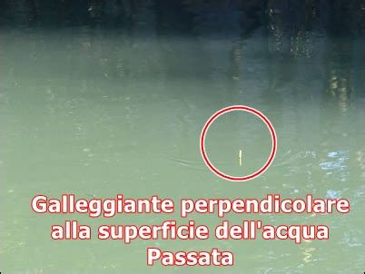 Pesca Alla Passata E In Trattenuta