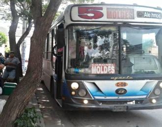 Estudiantes de El Carril y Chicoana podrán viajar gratis al terciario