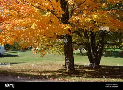 Northern Ontario Forest Hi Res Stock Photography And Images Alamy