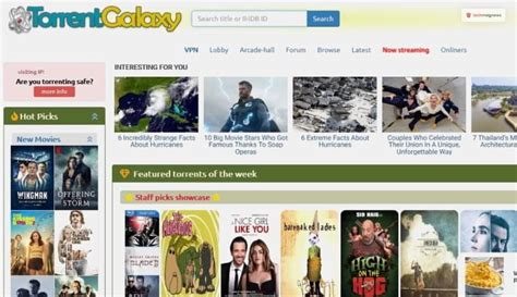 What Is TorrentGalaxy And What Are Its Latest Working URLs?