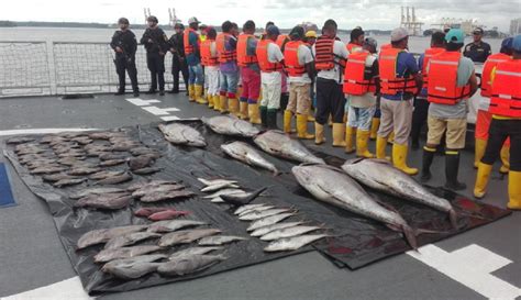 Combate A Pesca Irregular Acuerdan Acabar Con Millones De Toneladas De