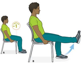 Kinesiology Final Flashcards | Quizlet