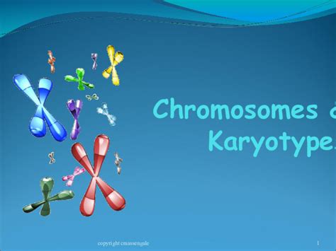 Chromosomes and Karyotypes PPT for 9th - 12th Grade | Lesson Planet