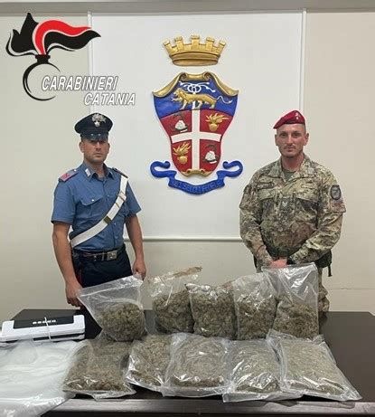 Carabinieri Trovano Un Casolare Di Campagna Pieno Di Droga Arrestati