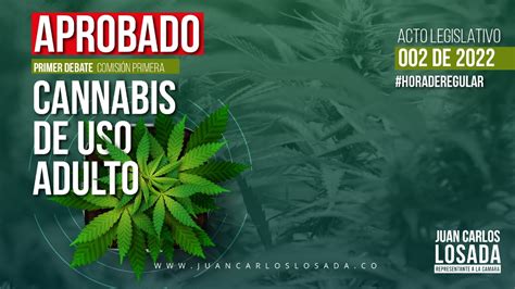 Avanza en el Congreso regulación del consumo de cannabis de uso adulto