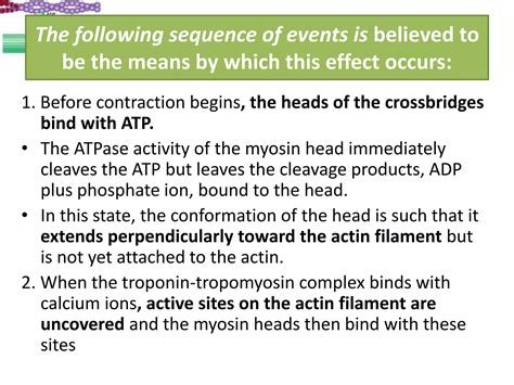 Lec 3 General Mechanism Of Muscle Contraction PPT